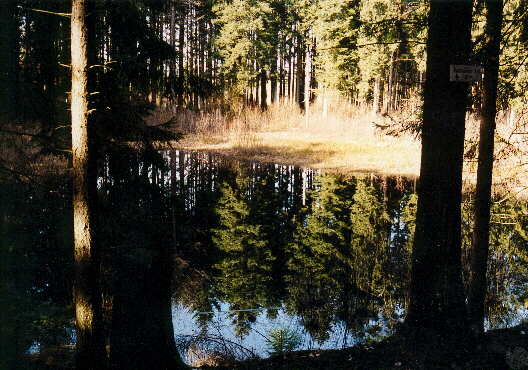 Der > Bodenlose See < hier prsentiert als > Bodenlose Reflektionen < (c)2001 KPKproject (aufgenommen im April 2001)