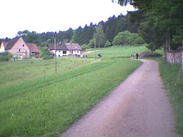 Betzweiler-Wlde - auf der Strecke - und immer wieder bergan!