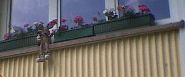 15.06.2001 - Schmberg - Gleich zu Beginn der Wanderung grt einladend ein -Fenstersimshase- den Wanderer