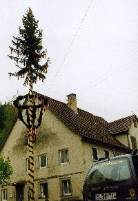 08.05.2001 - Maibaum in Mhringen