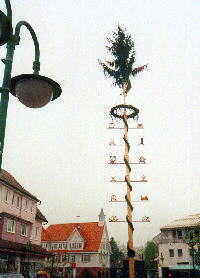08.05.2001 - Maibaum in Schmberg (Nordschwarzwald)