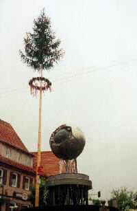 08.05.2001 - Maibaum in Mtzingen