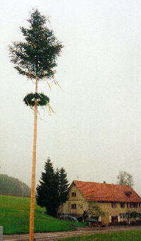 08.05.2001 - Maibaum in Rtenbach