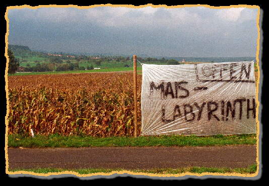 (c) KPKproject - Mais-Labyrinth Waldenbuch - Pic0