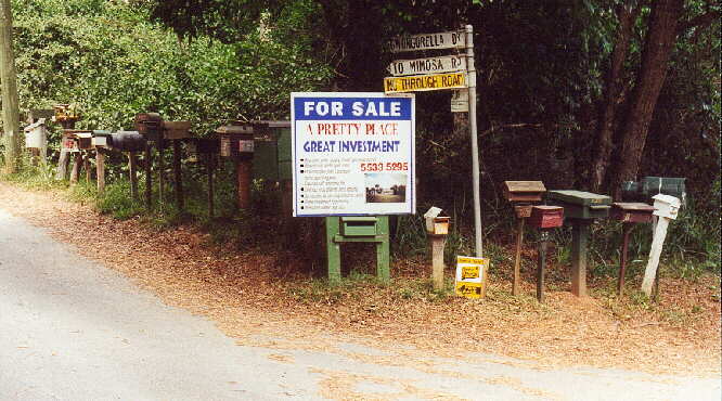 Briefksten beim Springbrook NP (QLD)