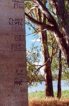 Flood Level - Mildura (Vic) - Murray River