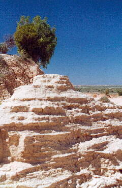 Mungo NP - Wall of China