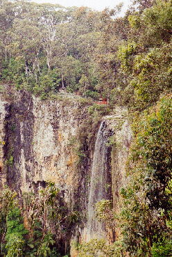 Springbrook Nationalpark