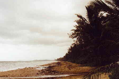 King Reef - der Strand