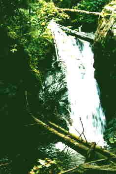 (c)2000  KPKproject - in der Lotenbachklamm