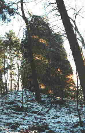 Schildmauer der Ruine Frundeck
