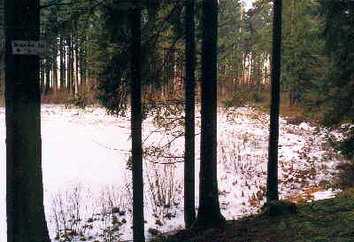 Bodenloser See (522 mNN)