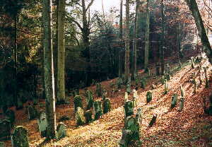 alter jüdischer Friedhof