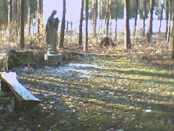 Bad Imnau - Die Madonna - im Wald gelegen