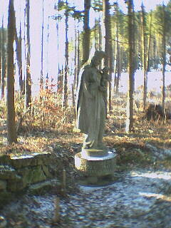 Bad Imnau - Die Madonna - im Wald gelegen