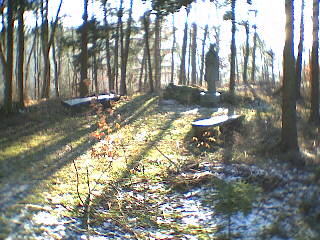 Bad Imnau - Die Madonna - im Wald gelegen