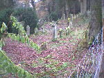 alter jüdischer Friedhof