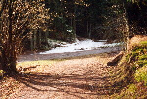 Abzweig nach Wiesenstetten noch im Wald gelegen