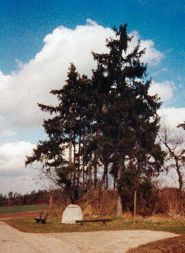Aussichtspunkt nach der Feldscheuer auf der linken Seite