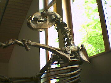 (c)2002 KPKproject - Laichinger Tiefenhhle - im Hhlenmuseum