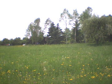 2002 - Betzweiler-Wlde - auf der Strecke