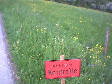2002 - Betzweiler-Wlde