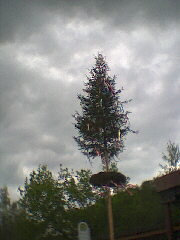 2002 - Betzweiler-Wlde - auf der Strecke