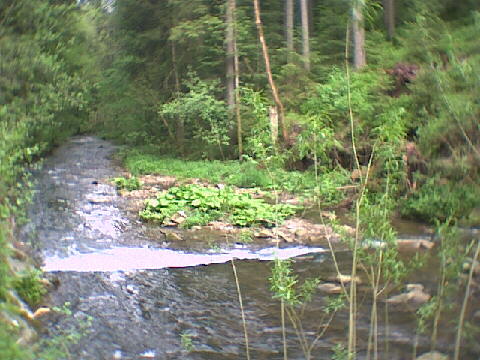 2002 - Betzweiler-Wlde - auf der Strecke