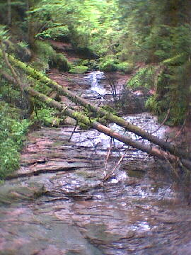 2002 - Betzweiler-Wlde - auf der Strecke