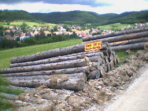 Albstadt - 01.07.2001 - IVV-Wanderung