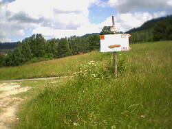 Albstadt - 01.07.2001 - IVV-Wanderung - Streckenteilung