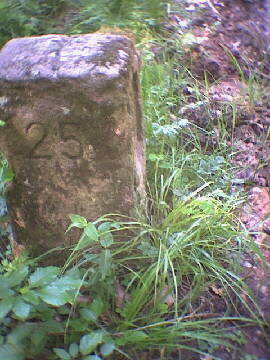 (c)2002 KPKproject - Besenfeld - 2002 - Grenzstein - von der Seite