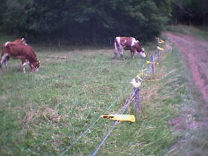 Deufringen - 08.07.2001 - IVV-Wanderung