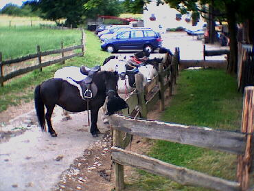 Deufringen - 08.07.2001 - IVV-Wanderung
