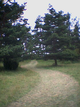 Deufringen - 08.07.2001 - IVV-Wanderung