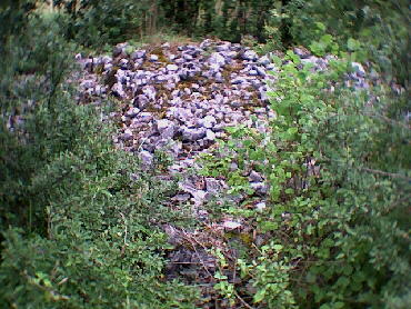 Deufringen - 08.07.2001 - IVV-Wanderung
