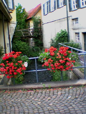 Deufringen - 08.07.2001 - IVV-Wanderung