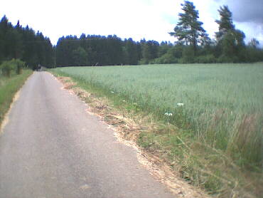 (c)2002 KPKproject - Gammertingen auf der Strecke