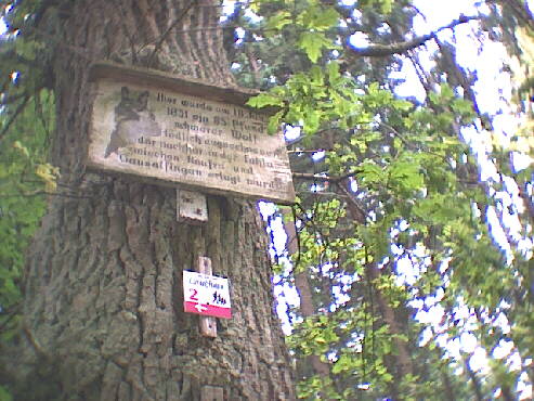 (c)2002 KPKproject - Gammertingen auf der Strecke