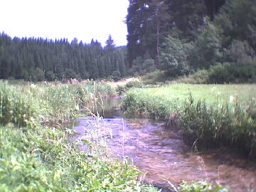 (c)2002 KPKproject - Gammertingen auf der Strecke