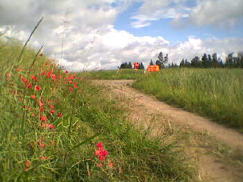 Haigerloch-Hart - 17.06.2001 - bald kommt auch schon die Streckenteilung