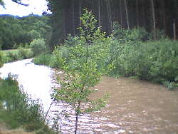 Haigerloch-Hart - 17.06.2001 - ein ungewollter aber dennoch schner Abstecher in eine reizvolle Auenlandschaft