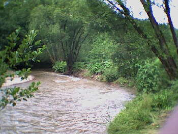 Haigerloch-Hart - 17.06.2001 - ein ungewollter aber dennoch schner Abstecher in eine reizvolle Auenlandschaft