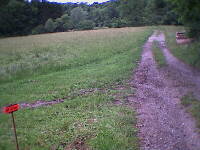 Haigerloch-Hart - 17.06.2001 - der von mir verschlafene Abzweig der Strecke