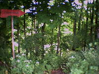 Haigerloch-Hart - 17.06.2001 - Einbahnstrassenschild im Outback