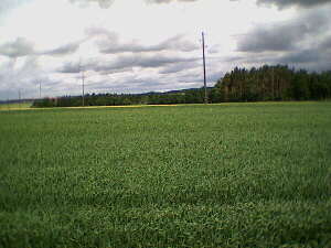 Haigerloch-Hart - 17.06.2001 - ber Feld und Flur