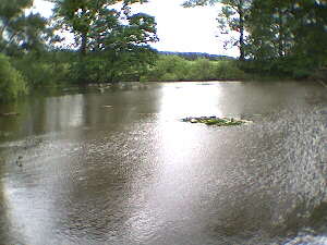 Haigerloch-Hart - 17.06.2001 - kleiner See am Wegerand entdeckt