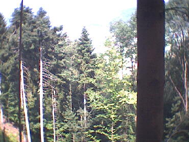 Hausach - Wald - Gegend und nochmals Gegend!