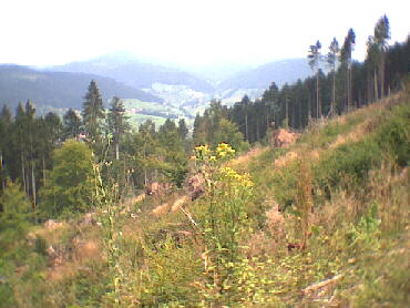 Hausach auf der Strecke