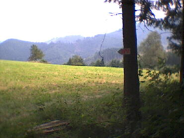Hausach - aus dem Wald kommend ein grandioses Panorama